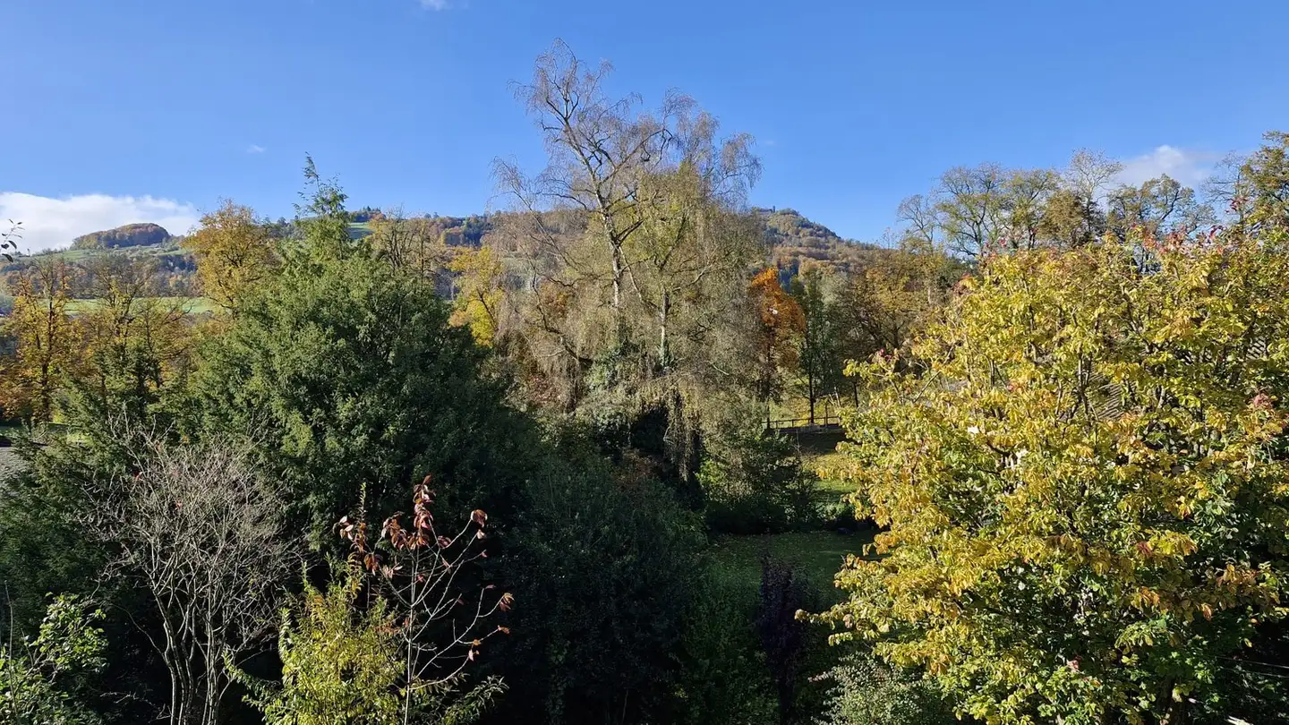 Stanza singola in affitto - 3006 Bern - Photo 3