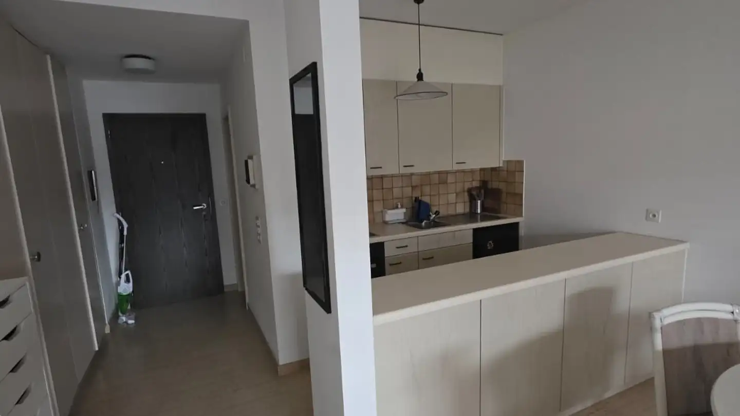 Wohnung mieten - Riva Paradiso 4a, 6900 Paradiso - Foto 3