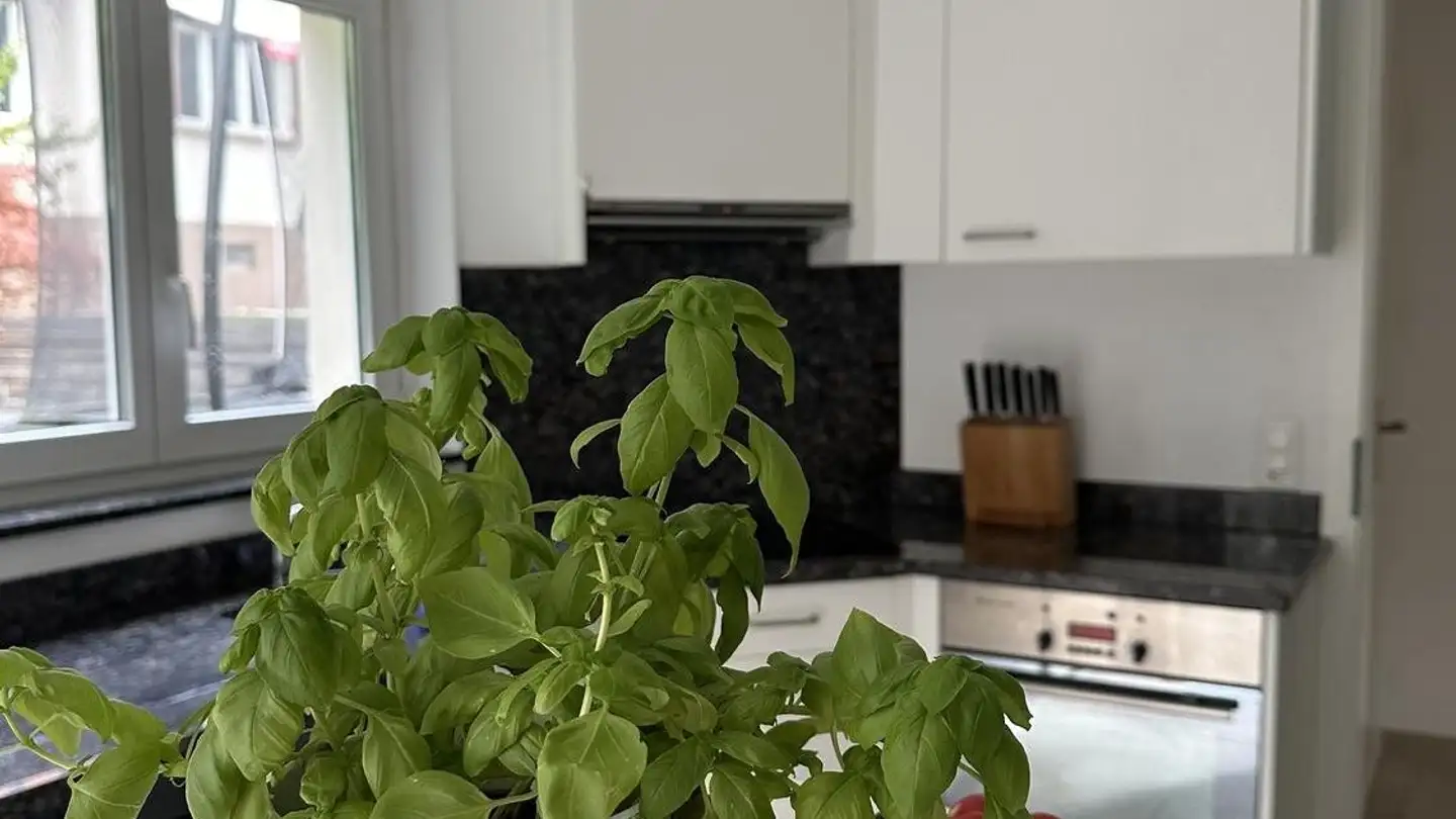 Chambre à louer - 8880 Walenstadt - Photo 2