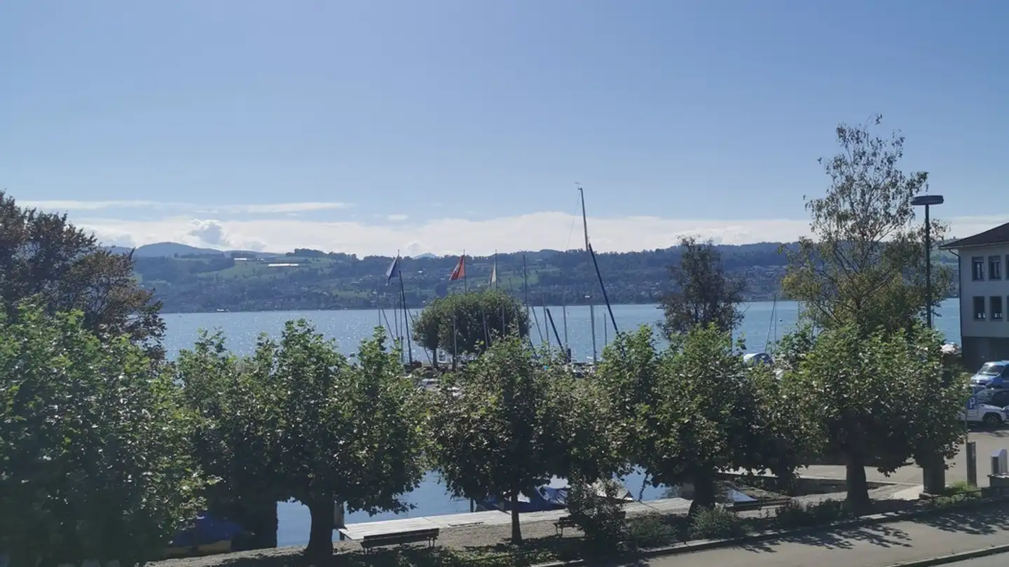 Stanza singola in affitto - Seestrasse 125, 8707 Uetikon am See - Photo 4