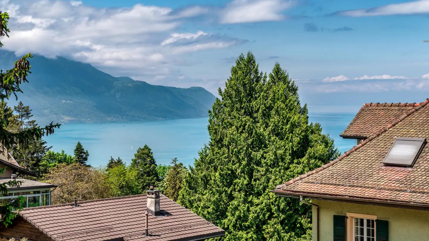 Casa singola in vendita - 1823 Glion - Photo 3