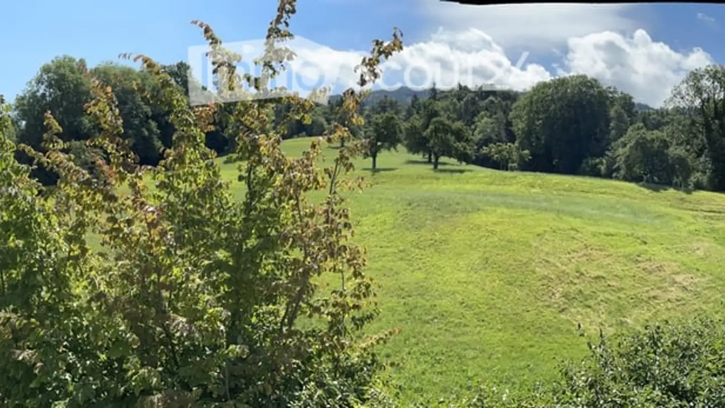 Appartamento in vendita - Goldacherstrasse, 9404 Rorschacherberg - Foto 4