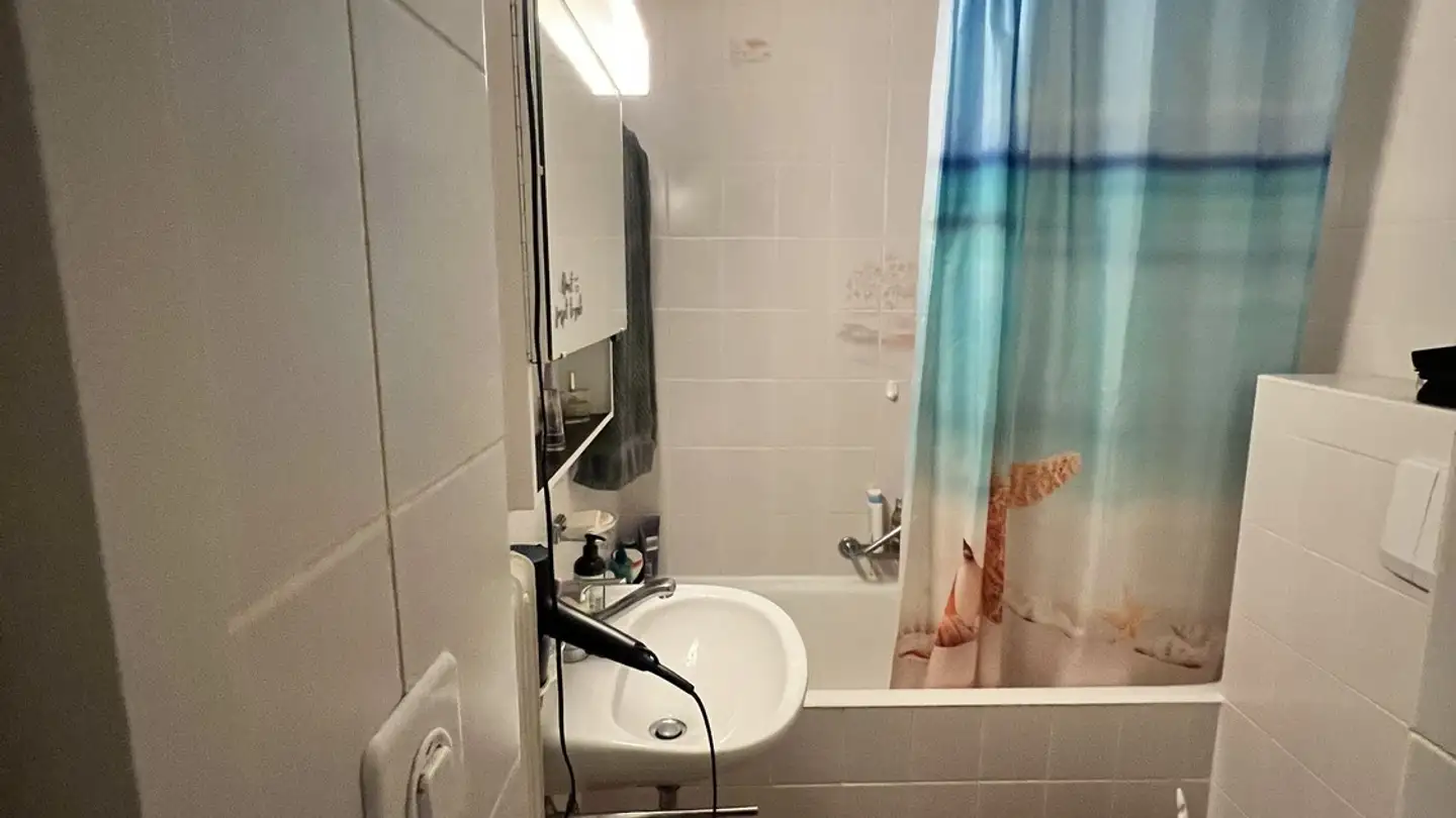 Appartamento in affitto - Avenue De Lavaux, 1009 Pully - Photo 3