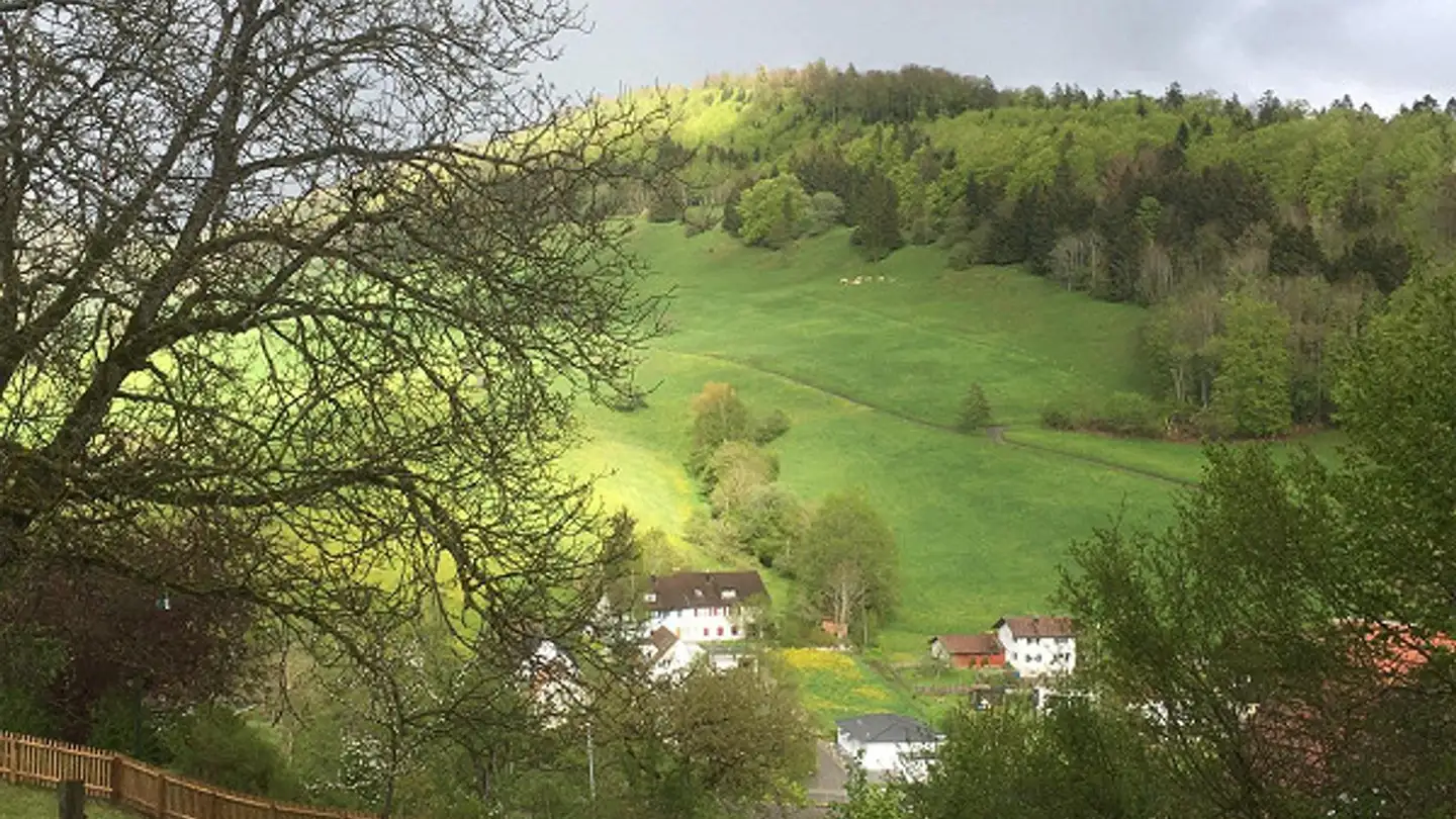 Maison individuelle à vendre - Kräheggweg 15, 4438 Langenbruck - Photo 2