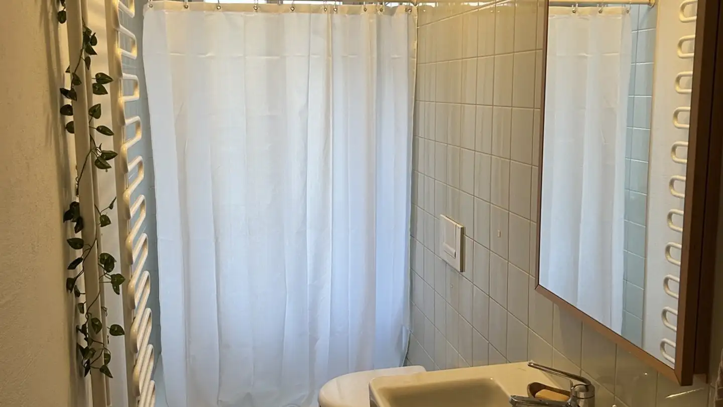 Single room for rent - Binzmühlestrasse 49, 8050 Zürich - Photo 4