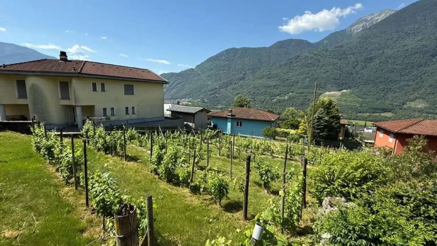 Terrain constructible à vendre - In Premuscián 2, 6702 Claro - Photo 2