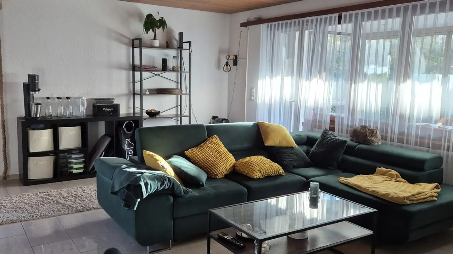 Single house for rent - 5525 Fischbach-Göslikon