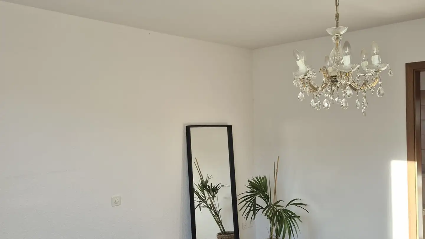 Casa singola in affitto - 5525 Fischbach-Göslikon - Photo 4