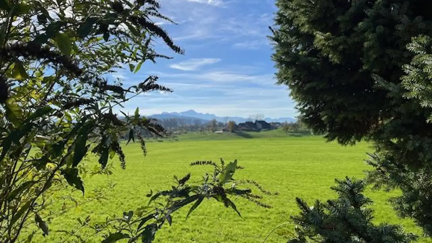 Single house for rent - Alpsteinstrasse 8, 9306 Freidorf TG - Photo 4