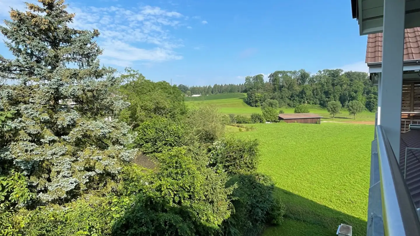 Apartment for rent - Lenzburgerstrasse 16, 5504 Othmarsingen