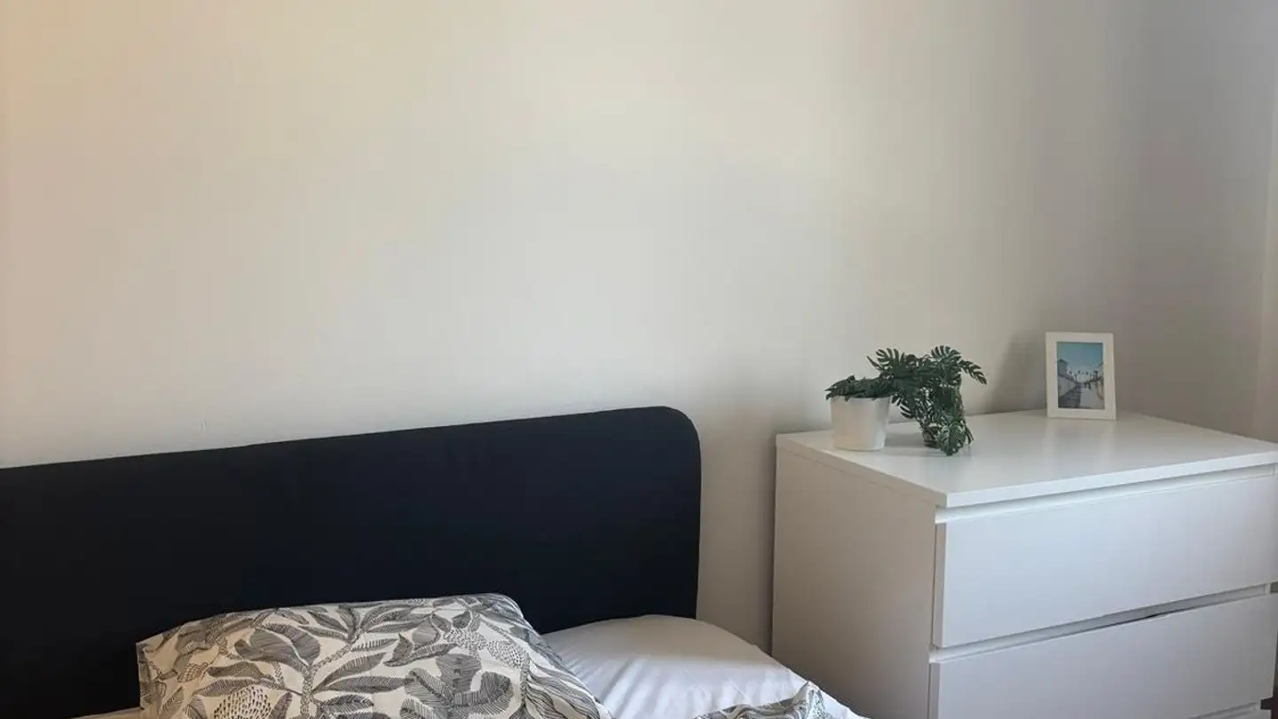 Stanza singola in affitto - Schönaustrasse 39, 9000 St. Gallen - Foto 3