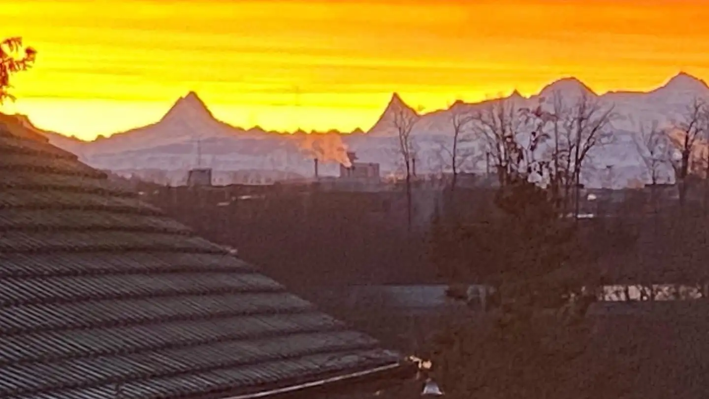 Appartamento in affitto - Reichenbachstrasse 79, 3004 Bern - Foto 2