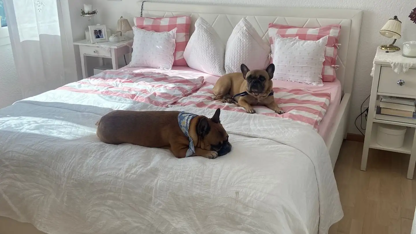 Appartamento in affitto - Reichenbachstrasse 79, 3004 Bern - Foto 3