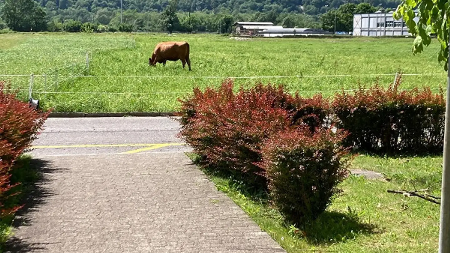 Appartamento in affitto - Via Quinta 47, 6710 Biasca