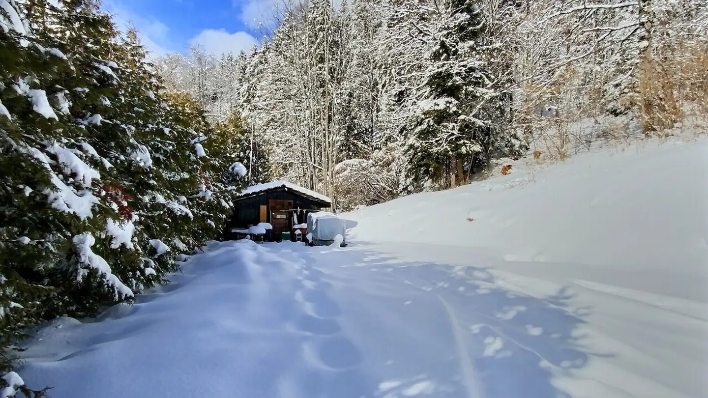 Immeuble mixte à vendre - Avenue Centrale 203, 1884 Arveyes - Photo 4