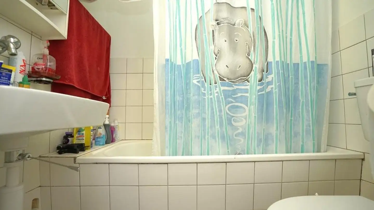 Apartment for rent - Schönmattweg 26, 3123 Belp - Photo 4