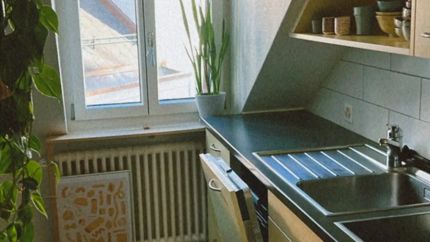 Appartement à louer - Schaffhauserstrasse 440, 8050 Zürich