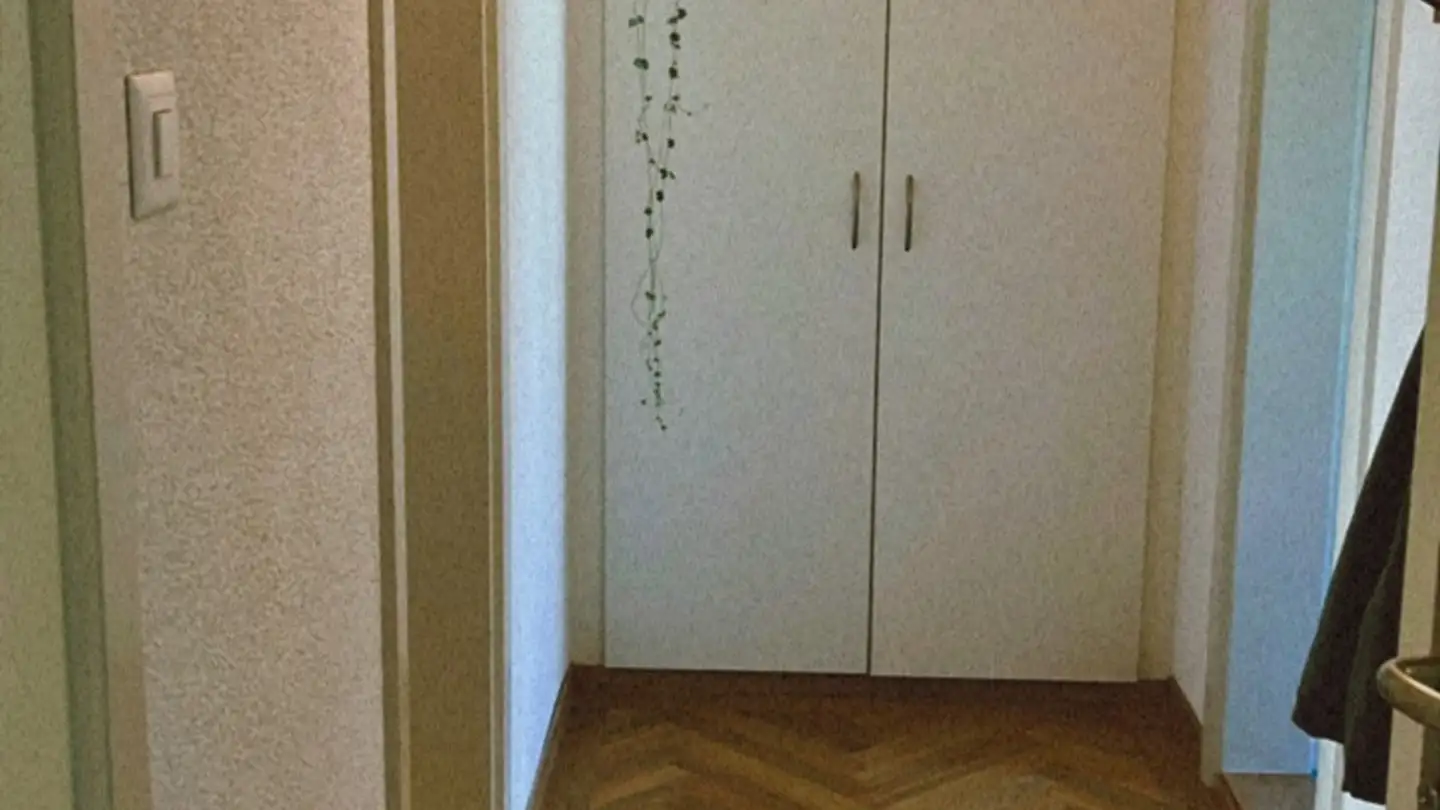 Appartement à louer - Schaffhauserstrasse 440, 8050 Zürich - Photo 2