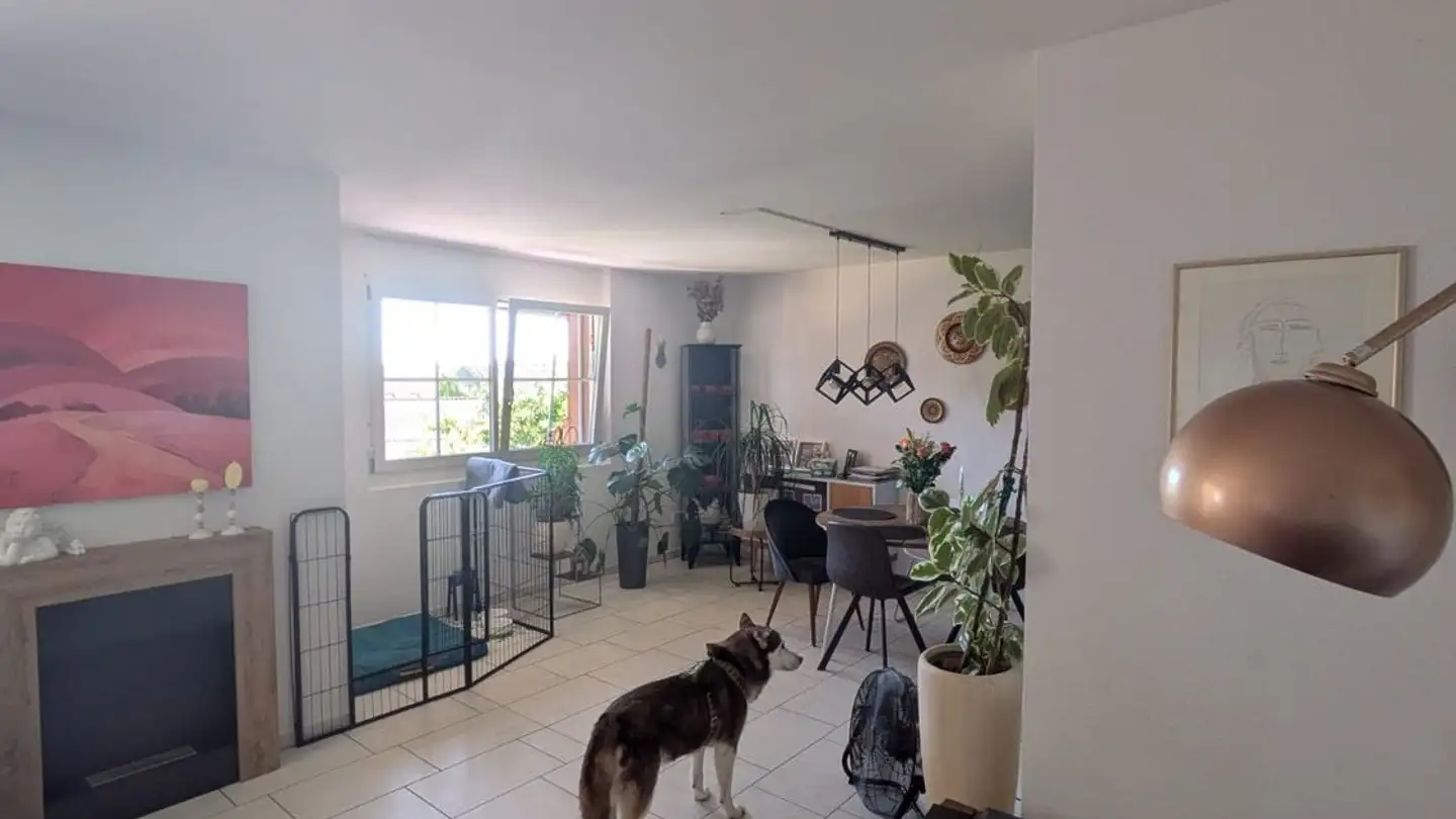 Appartamento in affitto - 8309 Nürensdorf - Foto 2