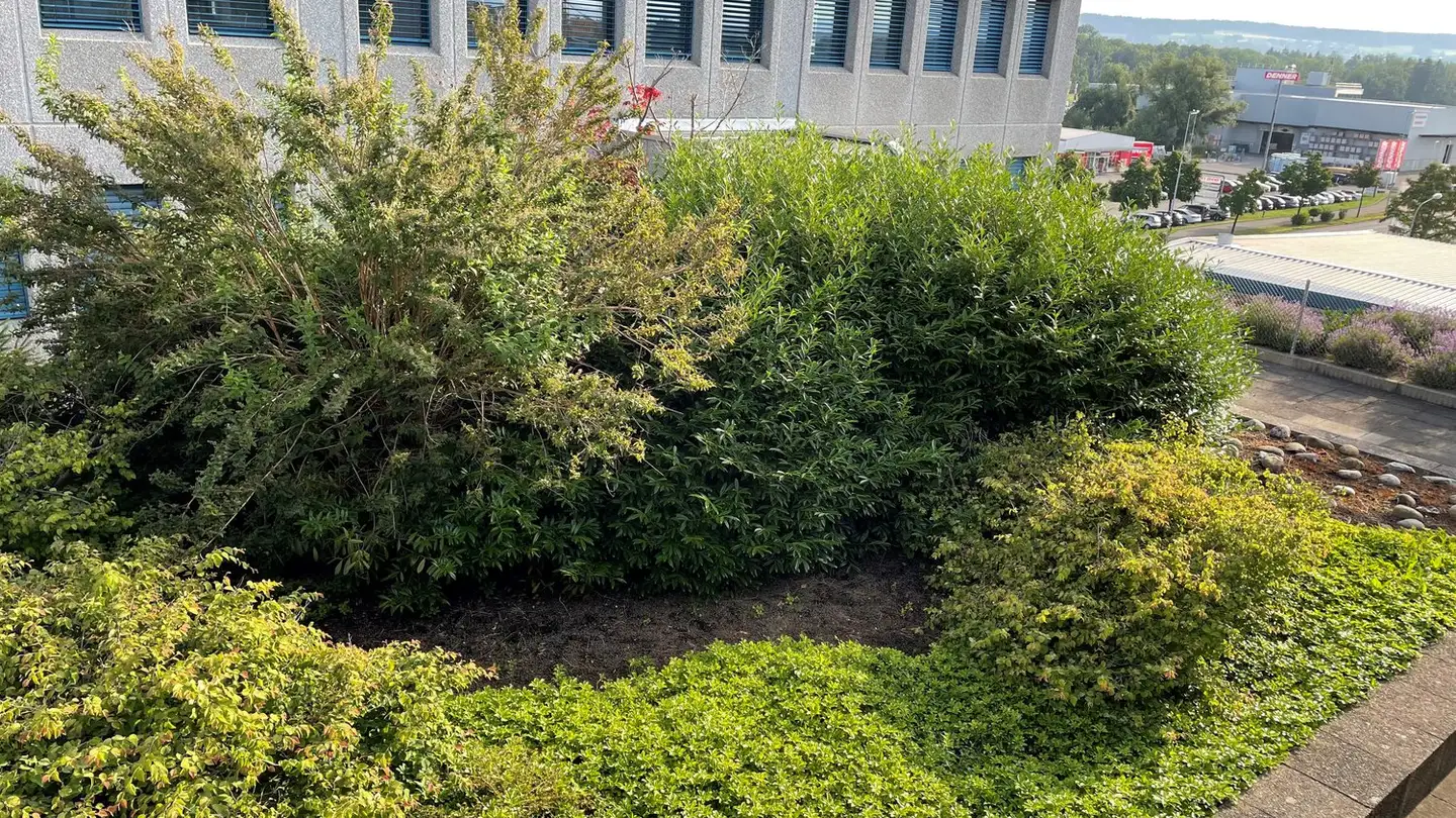 Bürofläche mieten - Riedmattstrasse 9, 8153 Rümlang - Foto 2