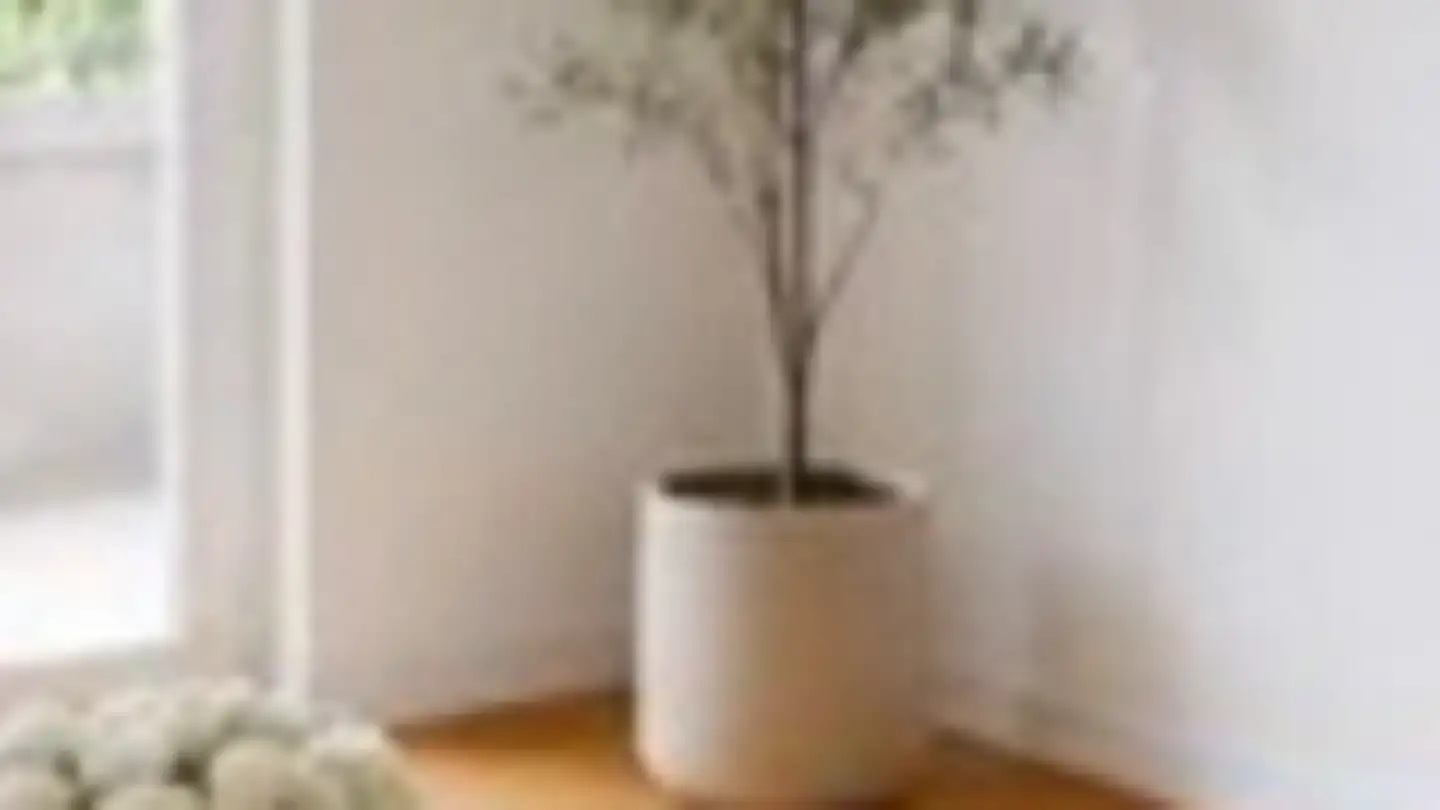 Wohnung mieten - Badenerstrasse 560, 8048 Zürich