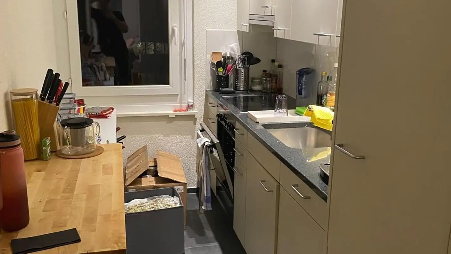 Apartment for rent - Neumattstrasse 37, 8902 Urdorf - Photo 3