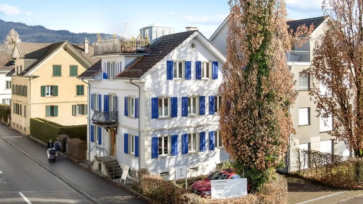 Commerciale in affitto - Rapperswilerstrasse 29, 8630 Rüti ZH - Foto 2