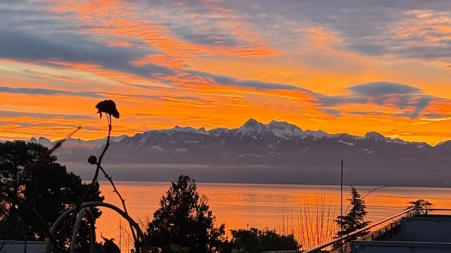 Apartment for rent - Rue Auguste Matringe 15, 1180 Rolle - Photo 4