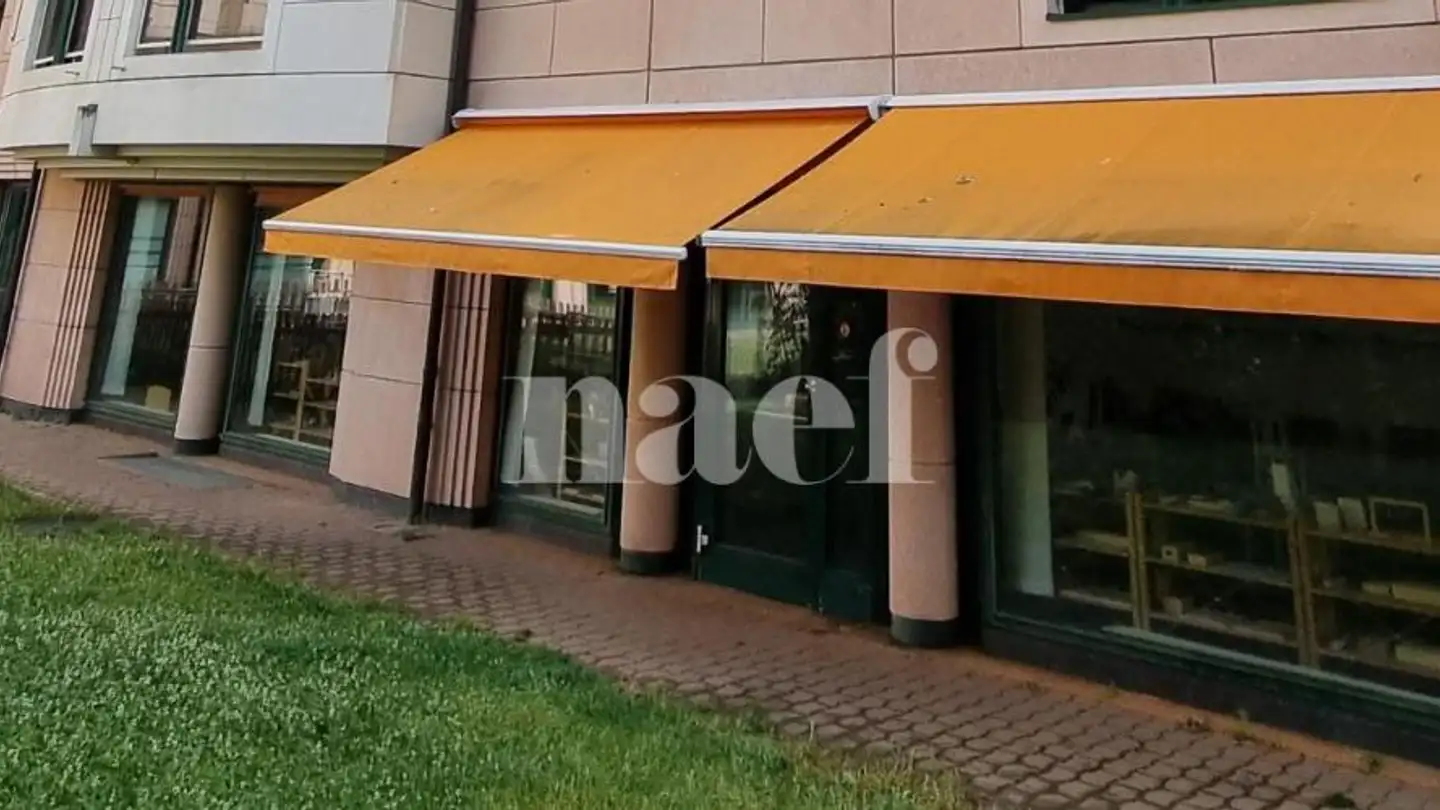 Gewerbe mieten - Chemin Frisco 2, 1208 Genève