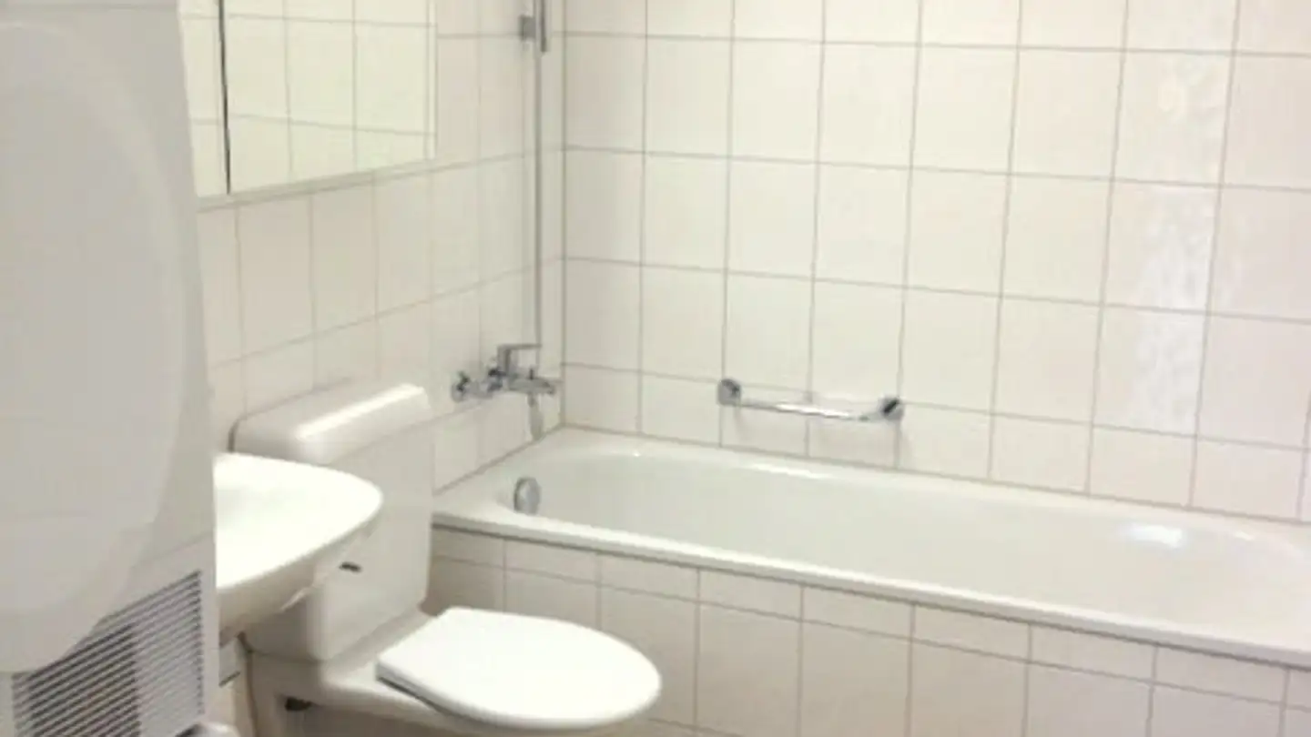 Wohnung mieten - Unterwerkstrasse 11, 8052 Zürich - Foto 3