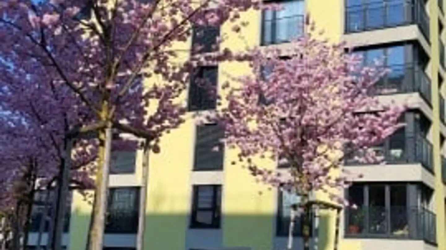 Appartamento in affitto - Unterwerkstrasse 11, 8052 Zürich