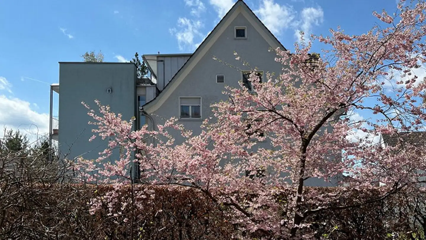 Penthouse kaufen - Tonhallestrasse 37, 9500 Wil SG - Foto 2