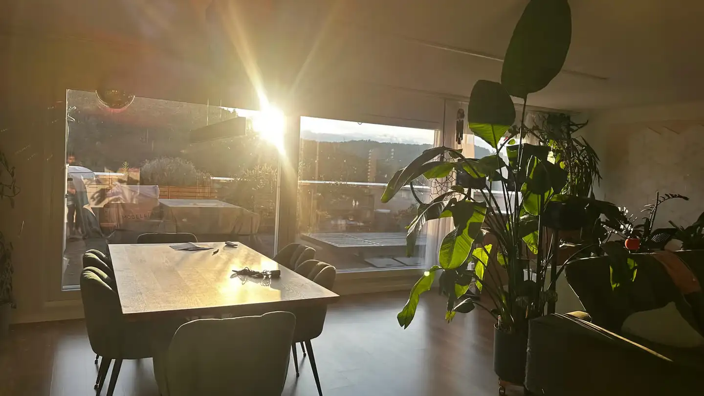 Single room for rent - Schlossmühlestrasse 289, 8408 Winterthur
