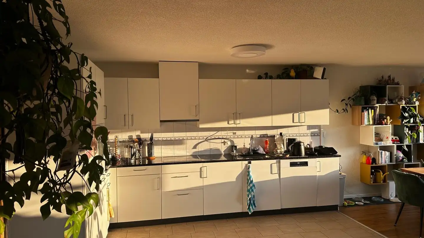 Single room for rent - Schlossmühlestrasse 289, 8408 Winterthur - Photo 3