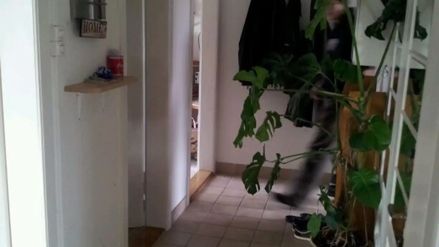 Apartment for rent - Weissensteinstrasse 29, 4513 Langendorf - Photo 3