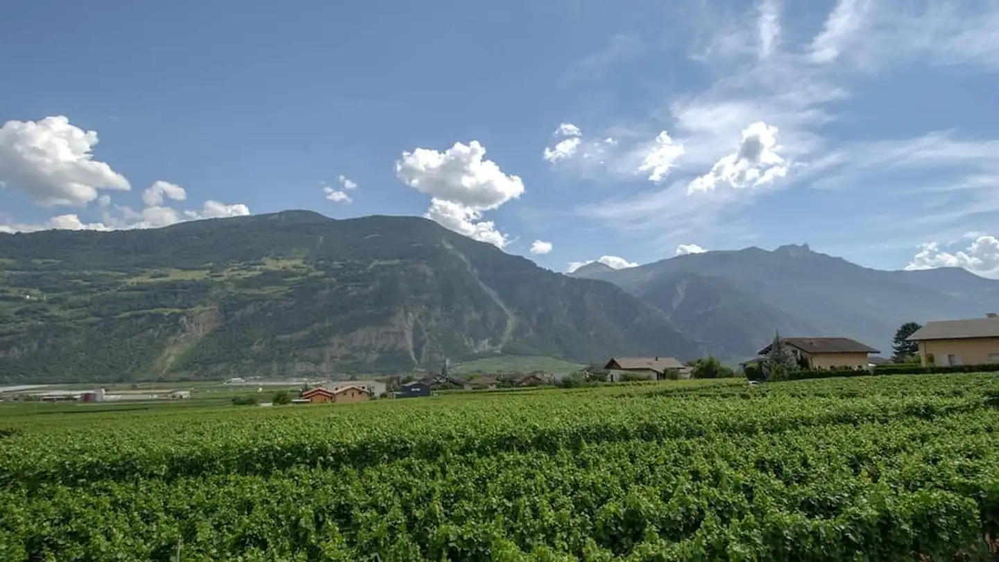 Terrain constructible à vendre - 1955 Chamoson - Photo 4