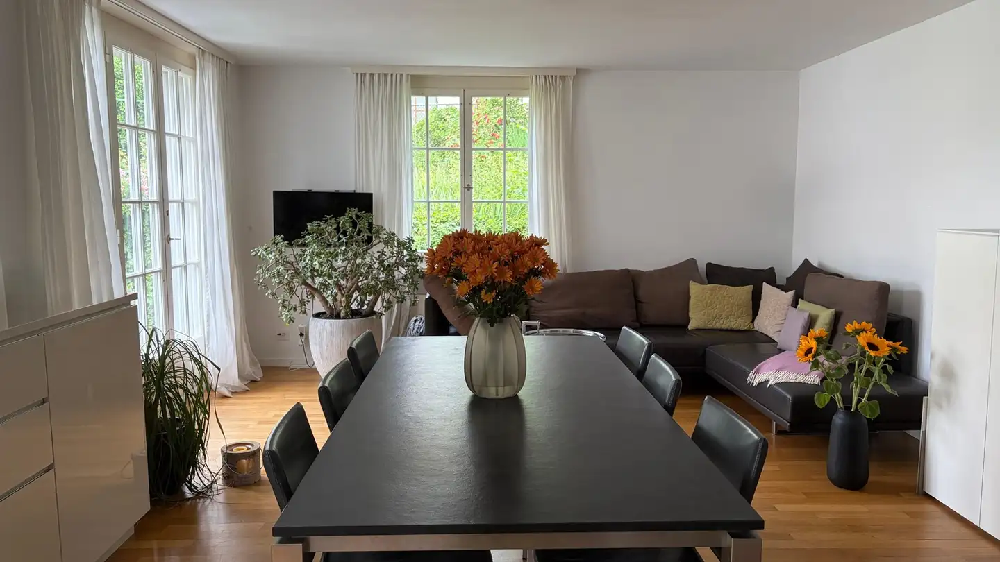 Appartement à louer - 8800 Thalwil