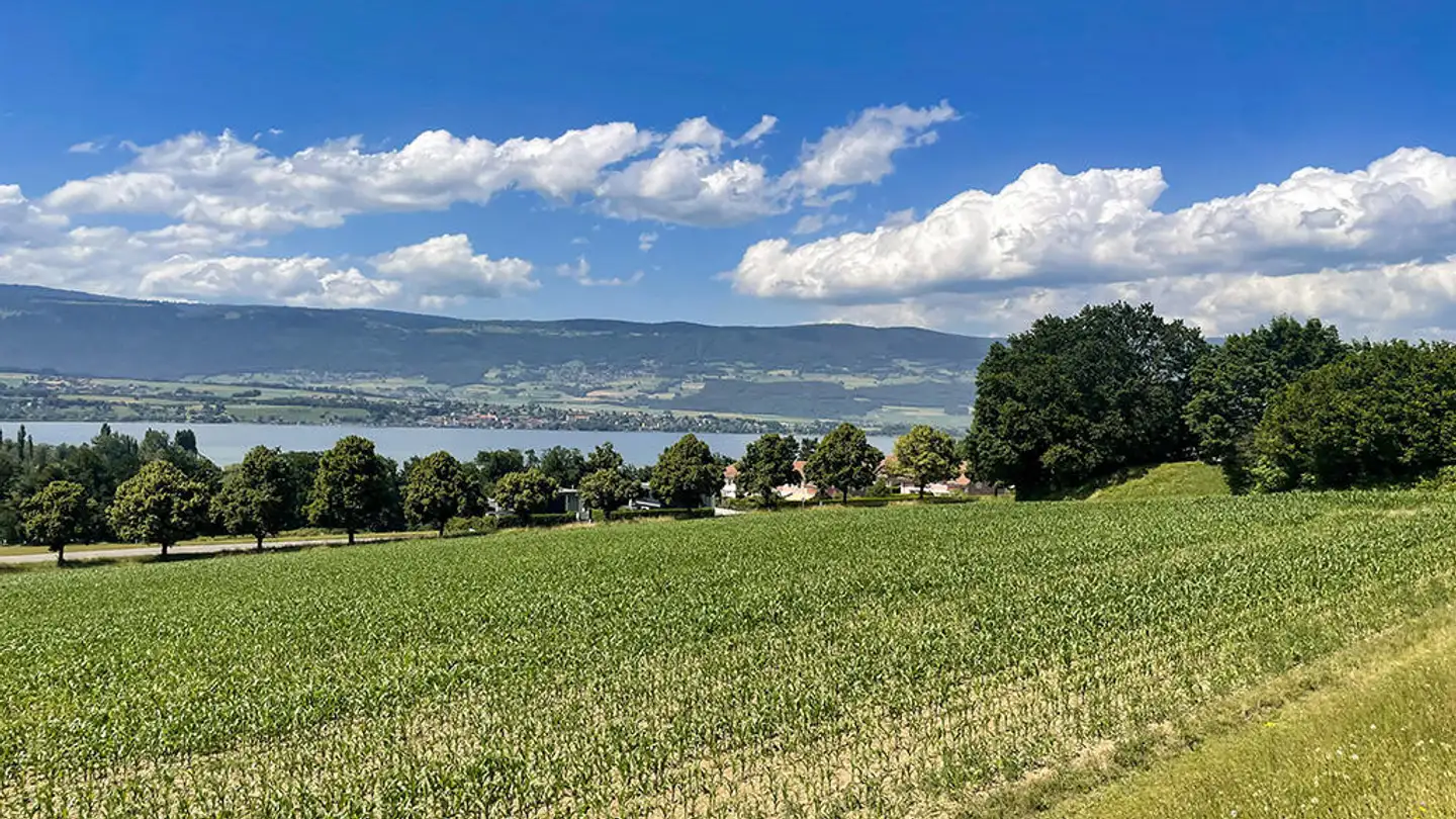 Appartamento in vendita - 1400 Yverdon-les-Bains