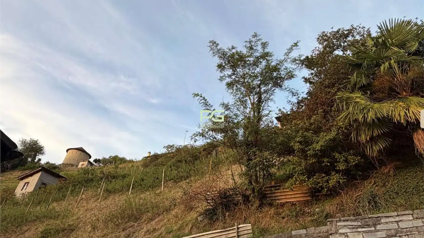 Terrain constructible à vendre - In Arla, 6528 Camorino
