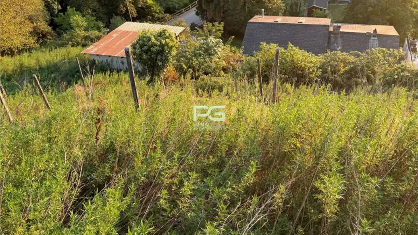 Terrain constructible à vendre - In Arla, 6528 Camorino - Photo 2