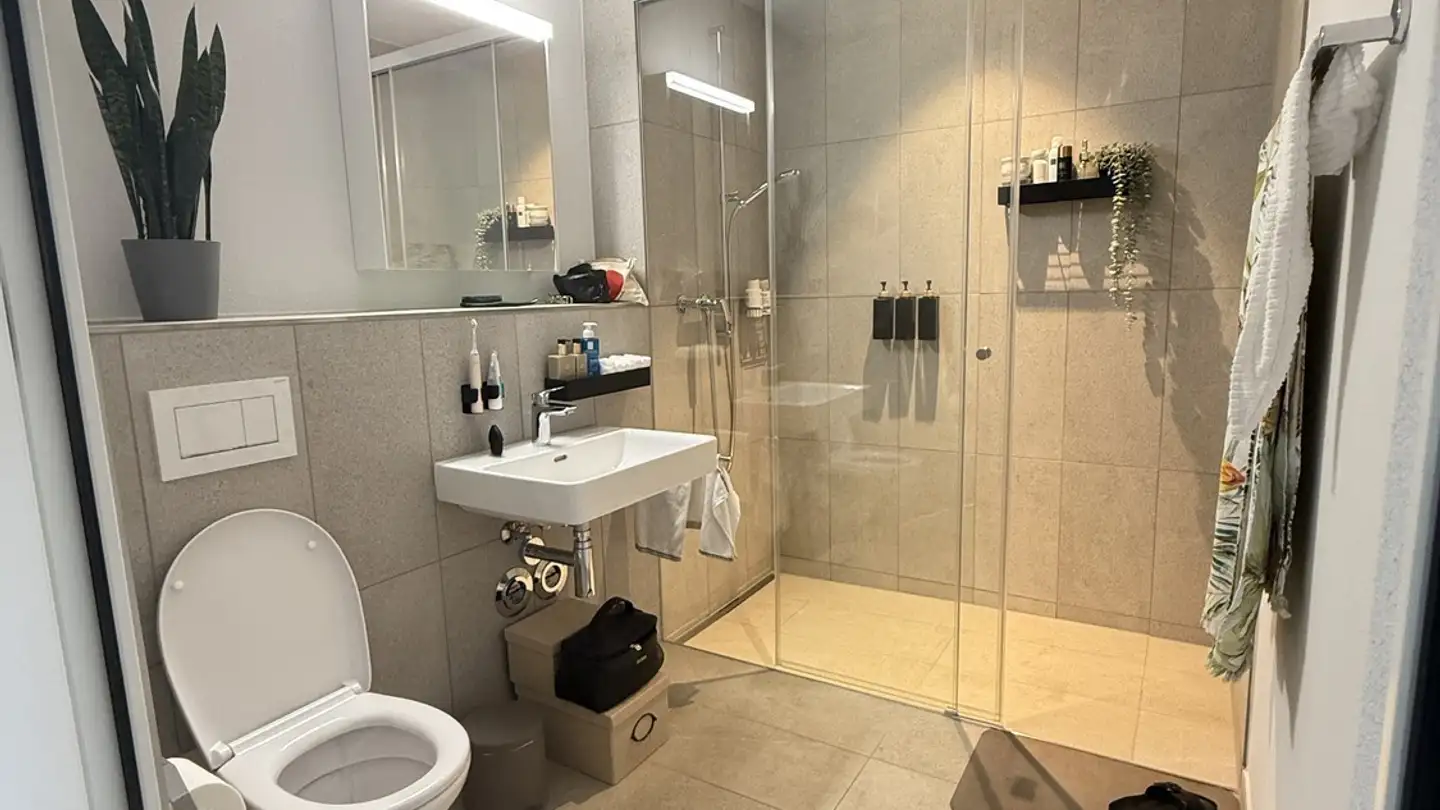 Appartamento in affitto - 8810 Horgen - Foto 4