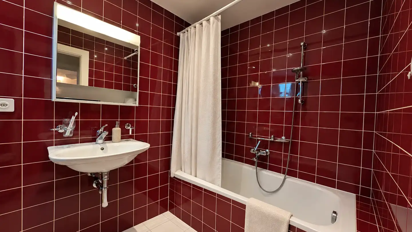 Apartment for rent - Oberer Zielweg 7, 4143 Dornach - Photo 4