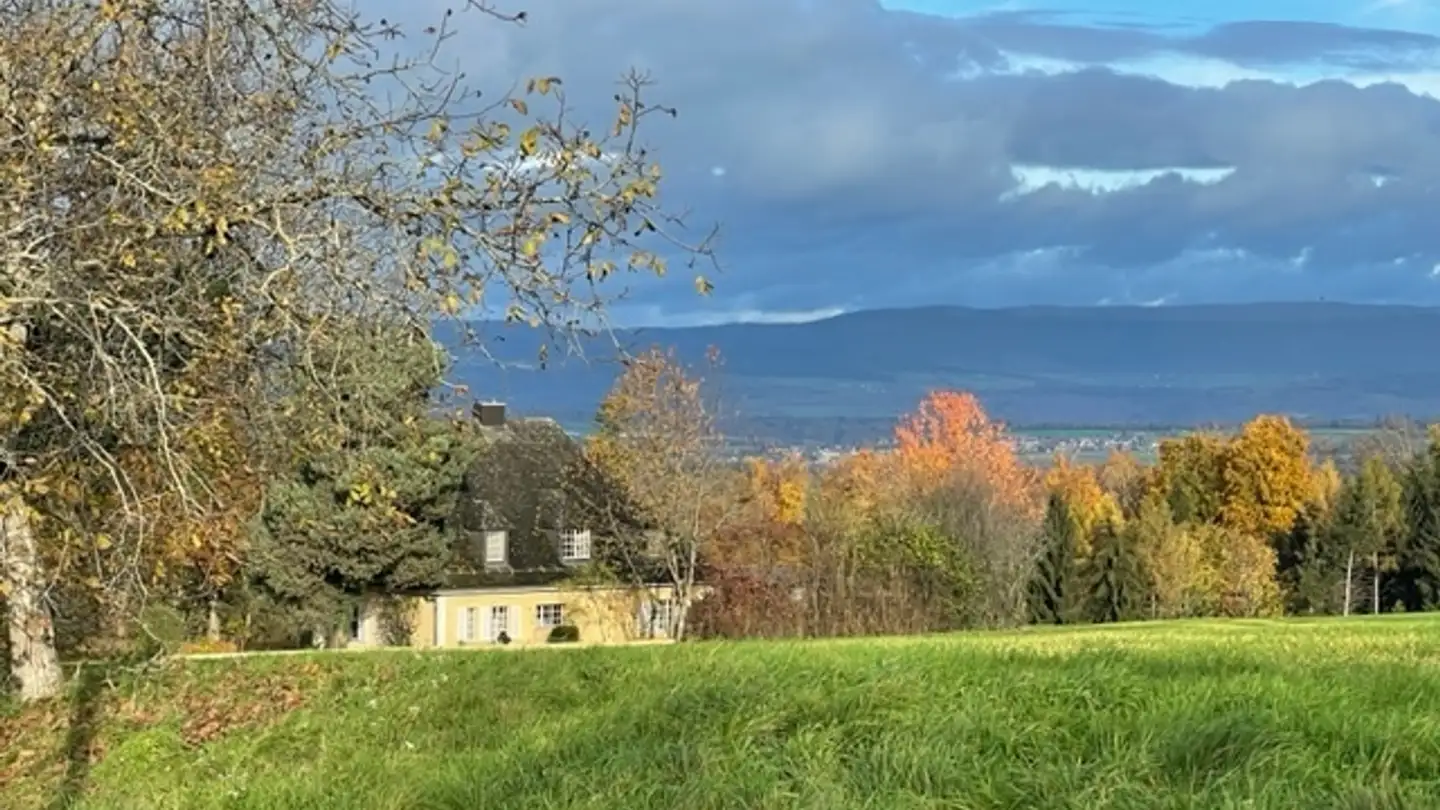 Einfamilienhaus mieten - Altavilla 155, 3280 Murten - Foto 2