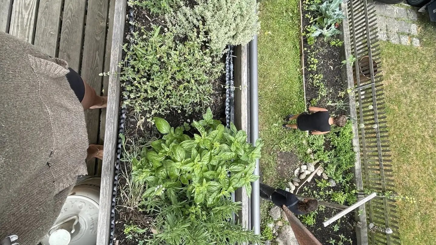 Casa singola in affitto - Zelgstrasse 9, 8212 Neuhausen am Rheinfall - Photo 3