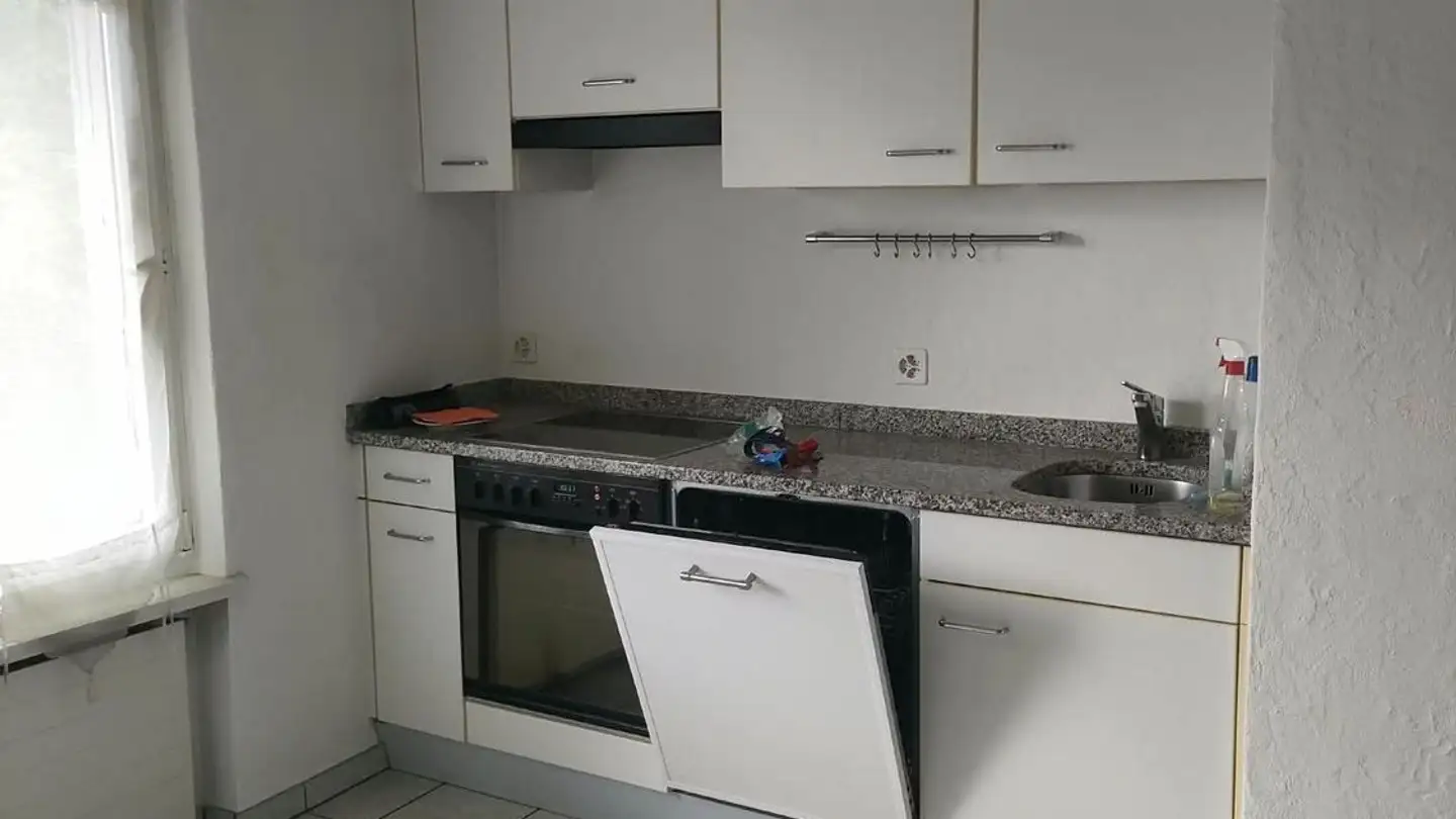 Appartamento in affitto - Bremgarterstrasse 29b, 8967 Widen