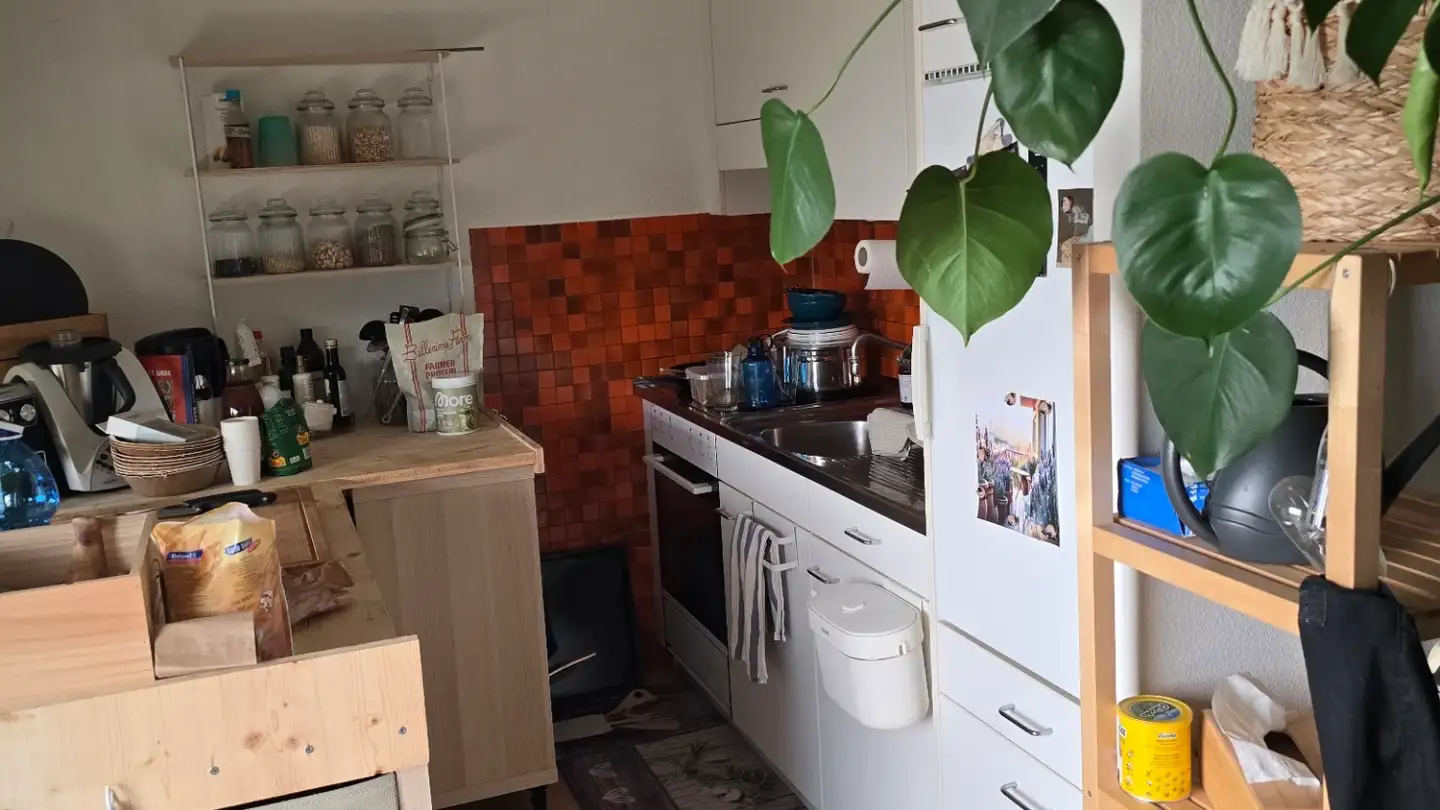 Appartamento in affitto - Kreuzbuchrain 10, 6006 Luzern - Foto 2