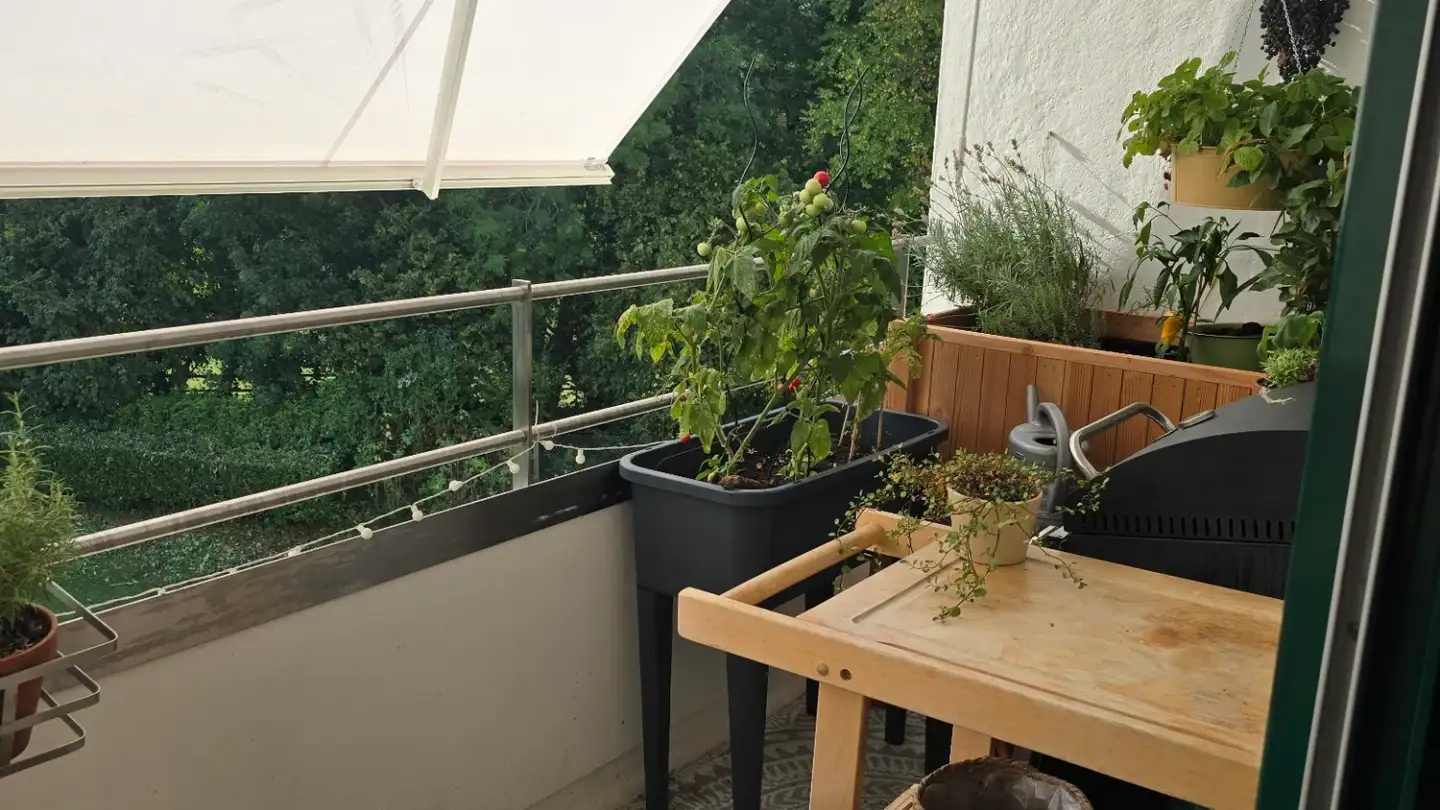 Appartamento in affitto - Kreuzbuchrain 10, 6006 Luzern - Foto 4