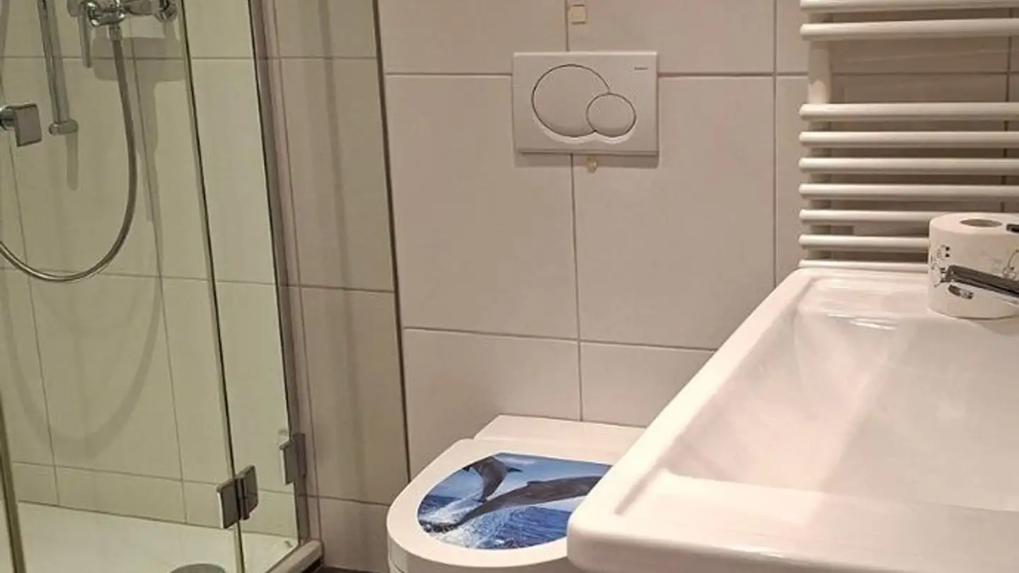 Appartement à louer - Nördlingerhof 2a, 8854 Galgenen - Photo 4