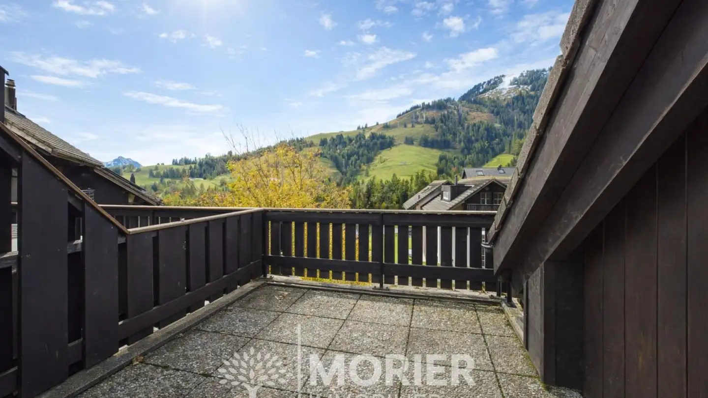 Duplex à vendre - Route Du Lézard 21, 1663 Moléson-sur-Gruyères