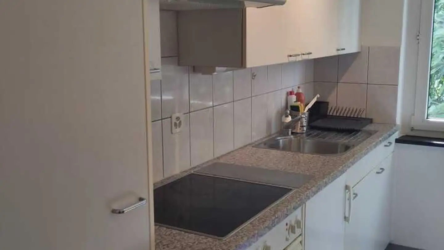 Appartement à louer - Dübendorfstrasse 314, 8051 Zürich - Photo 2